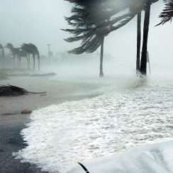 hurricane is a natural disaster that can disrupt small businesses