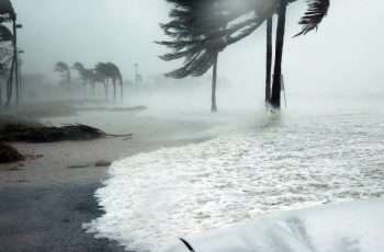 hurricane is a natural disaster that can disrupt small businesses